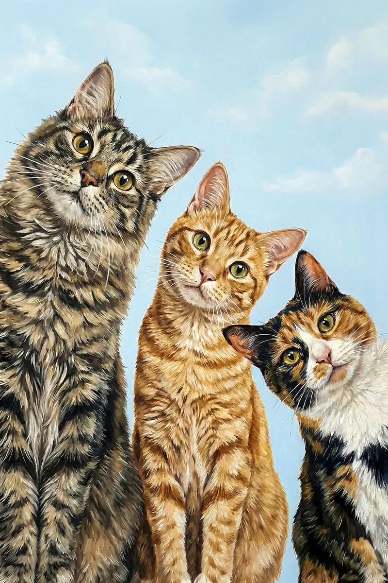 Drei neugierige Katzen – eine getigerte, eine rote und eine dreifarbige – schauen mit schiefgelegten Köpfen in die Kamera.