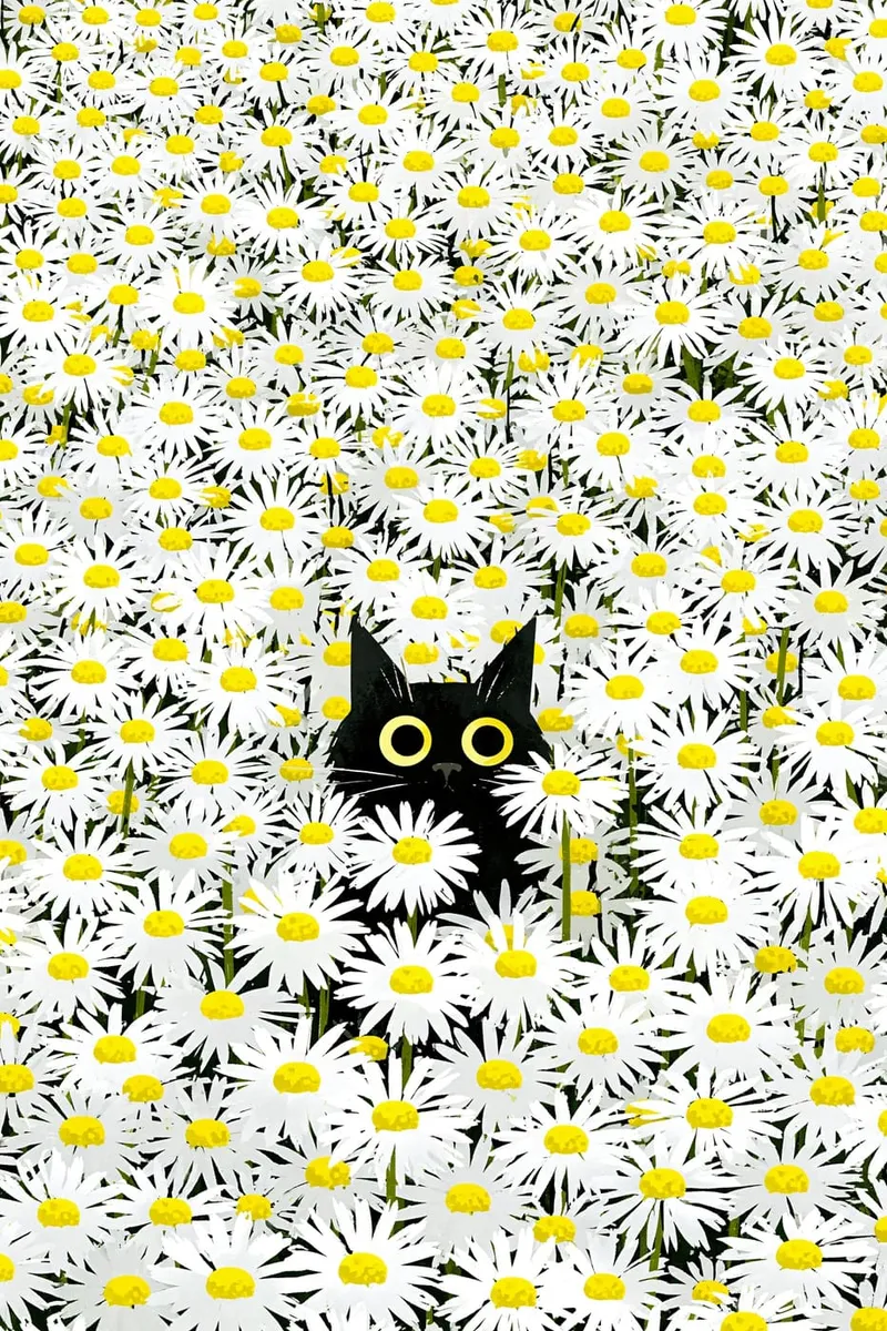 Schwarze Katze im Margeritenfeld