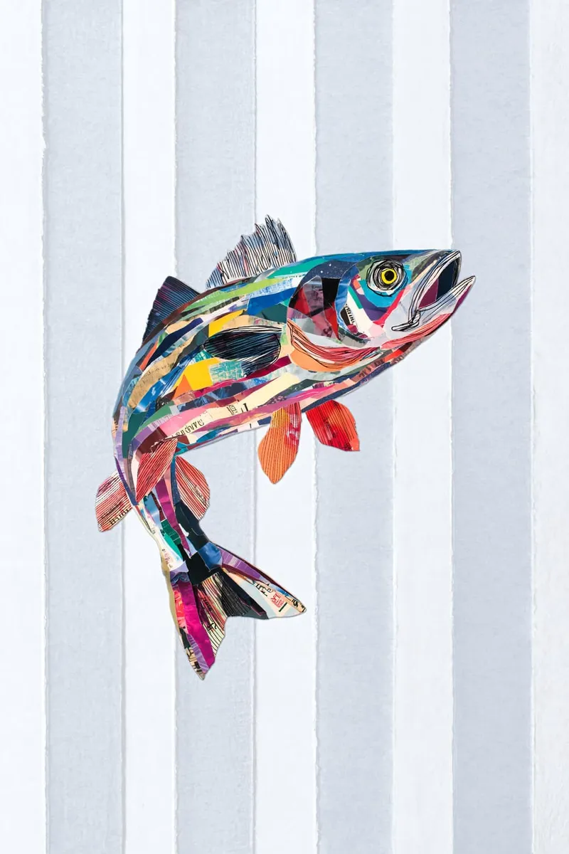 Buntes Zander-Poster im Collage-Stil auf einem Hintergrund aus hellgrauen und weißen vertikalen Streifen.